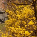 길정농장 이미지