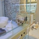 여기는 펫샵 이미지