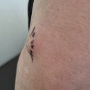 서울진외과의원 이미지