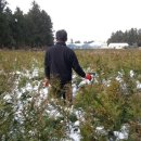 토산농장 이미지