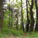 자작마을 이미지