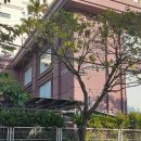 [다낭 미케비치 맛집] 현지인 기사님이 추천한 숨은 보물, 이모스 홈쿡(Emo’s Homecook) 솔직 후기