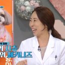 웨스턴 동물의료센터 이미지