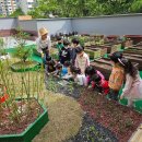 해바라기어린이집마당 이미지