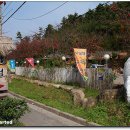 논두렁밭두렁 이미지