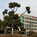 몽마르뜨 이미지