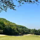 [경기도:용인] 뷰는 감탄, 스코어는 한숨… 88cc ⛳️ 레스토랑,그늘집 메뉴 +라운딩후기(내돈내산)
