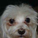 아인스동물병원 이미지