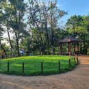 고양화전16 이미지