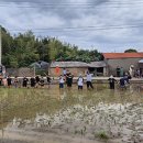 부안남초교 이미지