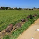 이석호공인중개사사무소 이미지