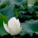 권씨농장 이미지