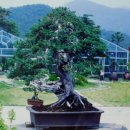 송학목장 이미지