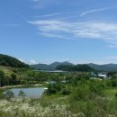 자등 2리 이미지