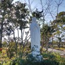 개인화물1278 | 제주도 성지순례 여행 택시투어,택시대절로 편하게 이용했어요!