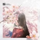 분당-263 이미지