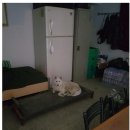 키워주시개 이미지