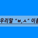 마리별미리별