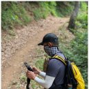 기룡산 등산로6 | [강원도20대명산]인제 기룡산 활공장, 네비,주차정보,들머리위치등