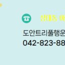 도안시티공인중개사사무소 이미지