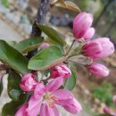 뮤지컬 3 Queens 이미지