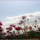 한강시민공원 이미지