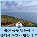 남목역사누리길 | 울산 동구 남목마성 봉대산 봉호사 취재 방문 후기