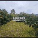 서호동-15 이미지