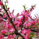 좋은 날들 이미지