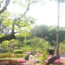 야원목장 이미지