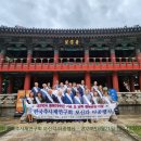 추사체1 Daum카페