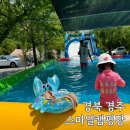스마일 캠핑장 | 대구 경북 오토 캠핑장 추천 경주 아이랑 가볼만한 곳 계곡 수영장 키즈 놀이터 스마일캠핑장