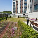 상록e편한세상공인중개사사무소 이미지