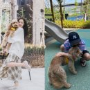 티파니 - 중구 소공로 58 | 티파니