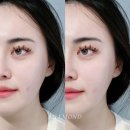 엘르몬트