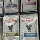 롯데마트 안성점 쿨펫 이미지