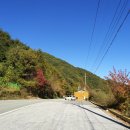 분설담화장실 이미지