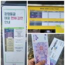 163 | 광명동굴 직접 다녀온 후기｜주차부터 황금길·163계단·와인동굴까지