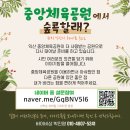 바이비상 이미지