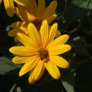 한결농장 이미지