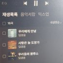 Sweet and bitter 이미지