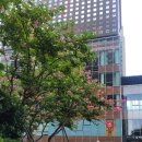 포천문고 이미지