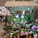 신세계백화점 강남점 | 바나플라워 신세계백화점 강남점 방문 후기