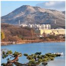 민원행정사무소 이미지