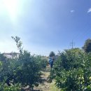 한라앤탐 이미지