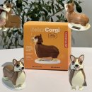 인형랜드 | 햇빛만 있으면 끄덕끄덕☀️ 키커랜드 웰시코기 솔라 인형 내돈내산 후기