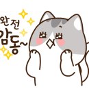 보리 여행사