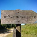 가리왕산가는길 이미지