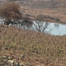 연강나룻길 C코스 이미지