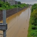 전주용소중학교 이미지